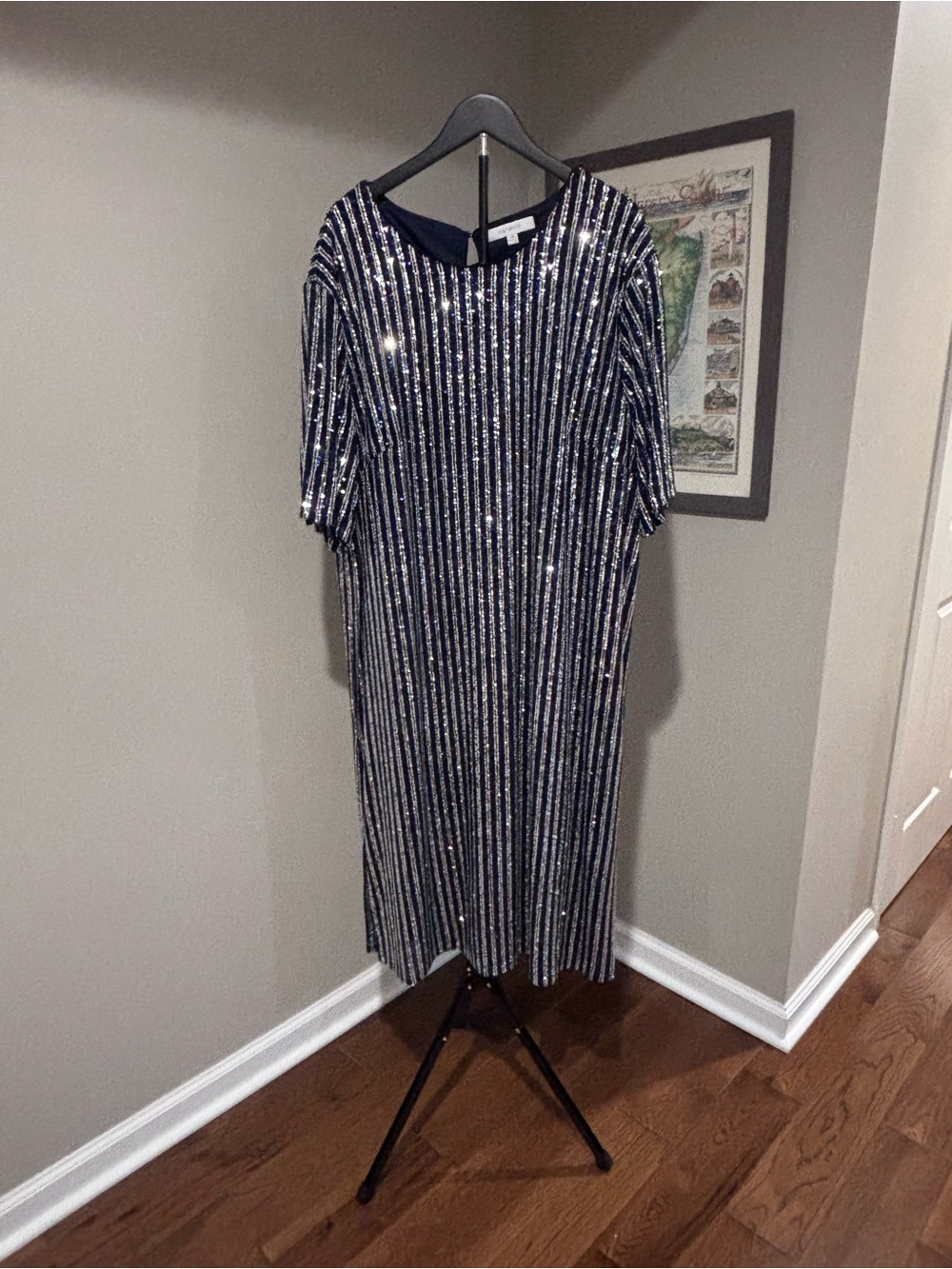Anthropologie Navy and Silver Sequin Stripe Midi Dress